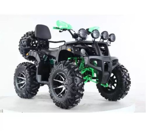 Квадроцикл Storm 200 Wild Track Lux