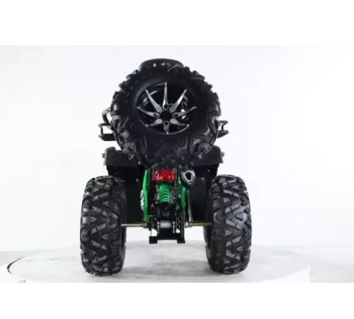 Квадроцикл Storm 200 Wild Track Lux