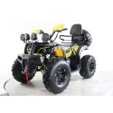 Квадроцикл Storm 200 Wild Track Lux