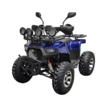 Квадроцикл Storm MAX 300 X