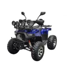 Квадроцикл Storm MAX 300 X