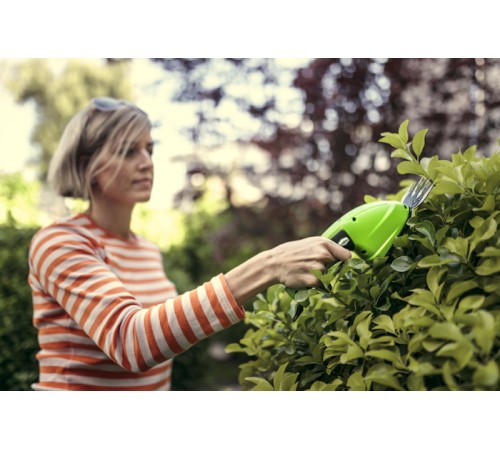 Ножницы аккумуляторные Greenworks 7.2V G7.2GS 2Aч