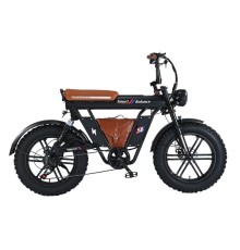 Электровелосипед SmartBalance   DIPLOMAT