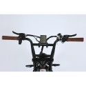 Электровелосипед SmartBalance   DIPLOMAT