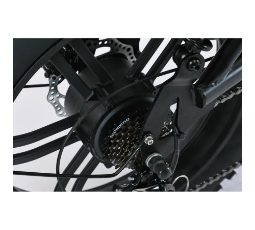 Электровелосипед SmartBalance   DIPLOMAT