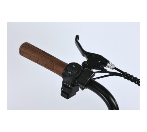 Электровелосипед SmartBalance   DIPLOMAT