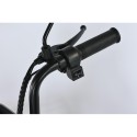 Электровелосипед SmartBalance   Fiesta  PRO