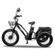 Трехколесный электровелосипед Minako Trike