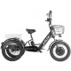 Трицикл GREEN CITY e-ALFA Trike Черный-2515