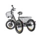 Трицикл GREEN CITY e-ALFA Trike Черный-2515