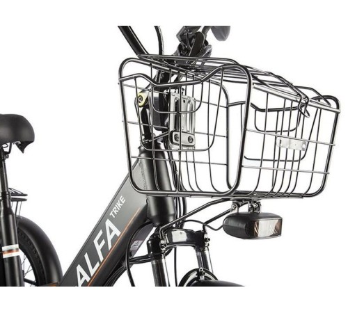 Трицикл GREEN CITY e-ALFA Trike Черный-2515