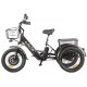 Трицикл GREEN CITY e-ALFA Trike Черный-2515