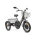 Трицикл GREEN CITY e-ALFA Trike Черный-2515