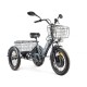 Трицикл GREEN CITY e-ALFA Trike Черный-2515