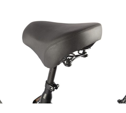 Трицикл GREEN CITY e-ALFA Trike Черный-2515