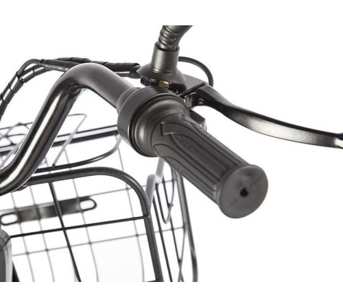 Трицикл GREEN CITY e-ALFA Trike Черный-2515