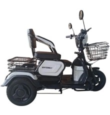 Электротрицикл Shtenli Model 30 SLA 12Ач48В
