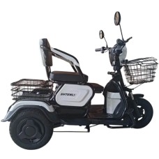 Электротрицикл Shtenli Model 30 SLA 12Ач48В