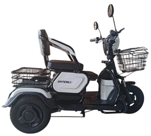 Электротрицикл Shtenli Model 30 SLA 12Ач48В