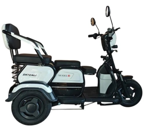 Электротрицикл Shtenli Model 30 SLA 12Ач48В