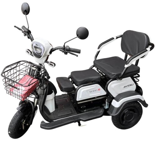 Электротрицикл Shtenli Model 30 SLA 12Ач48В