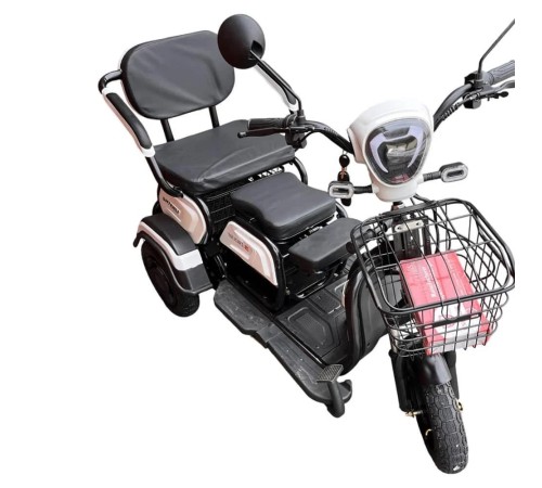 Электротрицикл Shtenli Model 30 SLA 12Ач48В