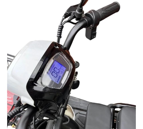 Электротрицикл Shtenli Model 30 SLA 12Ач48В