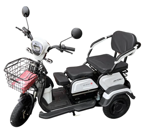 Электротрицикл Shtenli Model 30 SLA 12Ач48В