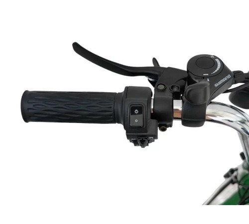 Трёхколёсный электровелосипед Smart8 Farmer Зеленый