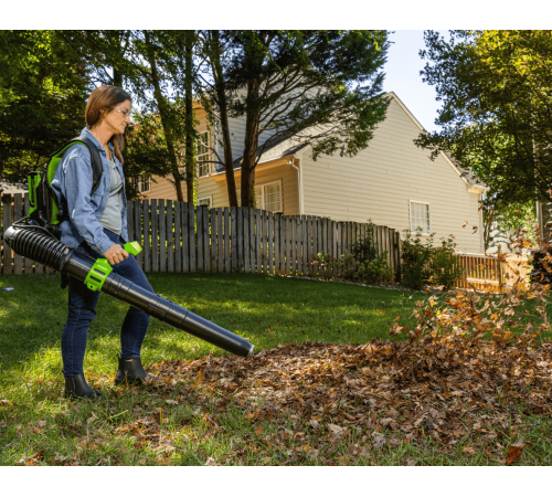 Воздуходувка аккумуляторная Greenworks 40V GD40BPG2 (1хАКБ 4Ач и ЗУ)