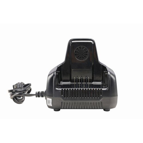 Быстрое зарядное устройство для двух аккумуляторов Greenworks 60V G60DC10 10А