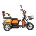 Электротрицикл Gelbert Caf 48V/60V 600Вт