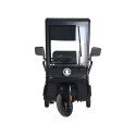 Электротрицикл Wanshida NIPLA 570 60V 1000Вт