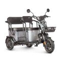 Электротрицикл Wanshida UM+ 60V 1000Вт