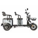 Электротрицикл Wanshida UM+ 60V 1000Вт