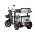 Электротрицикл Wanshida UM+ 60V 1000Вт