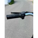 Электровелосипед TSUNAMI Dacha 500w