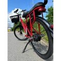 Электровелосипед TSUNAMI Dacha 500w