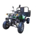 Квадроцикл грузовой ATV Storm Panther
