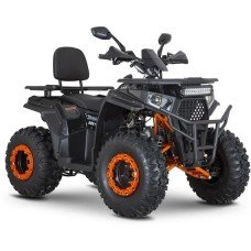 Квадроцикл Minsk Dzik 200