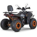 Квадроцикл Minsk Dzik 200