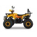 Квадроцикл Minsk Lis 125