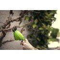 Ножницы аккумуляторные Greenworks 7.2V G7.2GS 2Aч