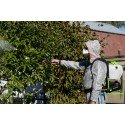 Опрыскиватель аккумуляторный Greenworks 24V G24BSPII (1хАКБ 2Ач и ЗУ)