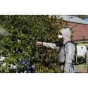 Опрыскиватель аккумуляторный Greenworks 40V G40BPS (1хАКБ 2 Ач)