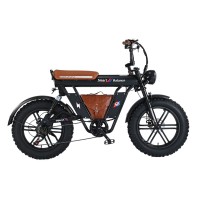 Электровелосипед SmartBalance   DIPLOMAT