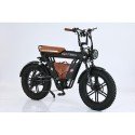 Электровелосипед SmartBalance   DIPLOMAT