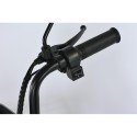 Электровелосипед SmartBalance   Fiesta  PRO