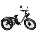 Электровелосипед трехколесный SmartBalance   Tank Trike