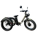 Электровелосипед трехколесный SmartBalance   Tank Trike